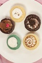 Variety of Cup cakes Royalty Free Stock Photo