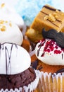 Variety of cupcakes Royalty Free Stock Photo