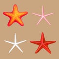 Variety of cute starfish set