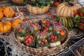 Variety of decorated pumpkins for Halloween celebration in a flower garden shop