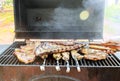 Variety of delicious grilled pork meat served on a barbecue grill for dinner with roast pork Royalty Free Stock Photo