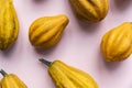 A variety of different autumnal gourds on a pink background Royalty Free Stock Photo