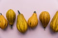 A variety of different autumnal gourds on a pink background Royalty Free Stock Photo