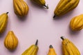 A variety of different autumnal gourds on a pink background Royalty Free Stock Photo