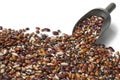 Variety of different beans Royalty Free Stock Photo