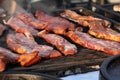 Variety of different kind of meat steaks and fillet. Grilled meat on a barbecue. Roasted pork. Roasted meat Royalty Free Stock Photo