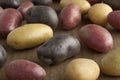 Variety of different potatoes Royalty Free Stock Photo