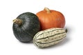 Variety of different pumpkins in autumn on white background Royalty Free Stock Photo