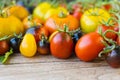 Variety of different rare tomatoes