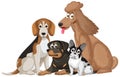 Variety of dog breeds cartoon character