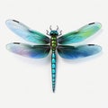 Stunning 3d Realism: Explore A Variety Of Dragonfly On Transparent Background Royalty Free Stock Photo