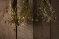 Variety of dried herbs hanging on a rope, dried plants, herbal medicine. Royalty Free Stock Photo