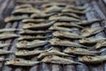 A variety of dried seafoods in the local market of Flores, Indonesia. Ikan kering dried fish, Ikan teri dried anchovi. It put
