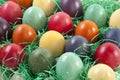 Variety of Easter eggs in egg carton Royalty Free Stock Photo