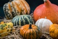 Variety of eatible and non-eatible pumpkins on straw and wood