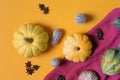 Variety of edible and decorative gourds and gourds. Autumn composition of different types of squash on yellow background. Top View