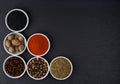 A variety of exotic spices in ceramic bowls top view Royalty Free Stock Photo