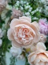 A variety of fake flowers are used to decorate the wedding reception room. lily, rose, tulip etc Royalty Free Stock Photo