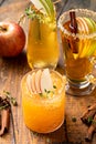 Variety of fall cocktails or mocktails made with apple cider Royalty Free Stock Photo