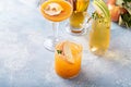 Variety of fall cocktails or mocktails made with apple cider Royalty Free Stock Photo