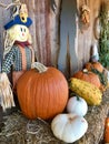 Display of Fall pumpkins and scarecrow decoration