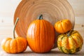 Variety of fall pumpkins and squash close up