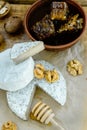 Variety of farm dairy appetizers cheese with walnuts