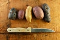 Variety of Fingerling Potatoes on Wooden Table