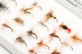 Variety of Fishhooks or Trout Flies in Case Royalty Free Stock Photo
