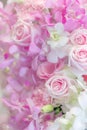 Variety flower background in pastel color