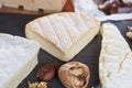 French soft cheeses - camembert, marcaire, munster, brie - delicious dessert with nuts and dried fruits