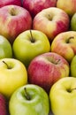 Variety of fresh apples Royalty Free Stock Photo