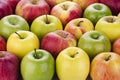 Variety of fresh apples Royalty Free Stock Photo