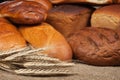 Variety of fresh bread with ears of rye Royalty Free Stock Photo