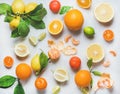 Variety of fresh citrus fruit for making healthy smoothie Royalty Free Stock Photo