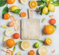 Variety of fresh citrus fruit for making juice or smoothie Royalty Free Stock Photo