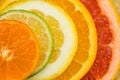 Variety of fresh citrus fruits slices Royalty Free Stock Photo