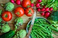Variety of fresh colorful organic vegetables green beans, tomatoes, red radish, artichokes, cucumbers on wood kitchen table, copy Royalty Free Stock Photo