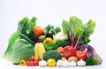 Variety of fresh colorful vegetables Royalty Free Stock Photo