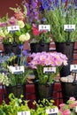 Variety of fresh cut flowers for sale at an outdoor market