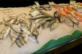 Variety of fresh fish in the market Royalty Free Stock Photo