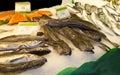 Variety of fresh fish in the market Royalty Free Stock Photo