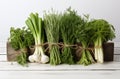 Variety of fresh green herbs tied in bunches. Green onion, rosemary, parsley, dill Royalty Free Stock Photo