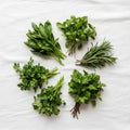 A variety of fresh herbs are arranged in a circular pattern on a white Royalty Free Stock Photo