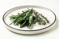 variety of fresh herbs rosemary, thyme and sage on plate. Long banner format. top view