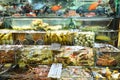 Variety of fresh live seafood