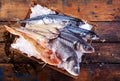 Variety of fresh marine fish on ice in a crate Royalty Free Stock Photo