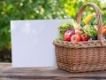 Variety of fresh organic vegetables and herbs in wicker basket. Blurred green nature at the background. Empty blank for your text