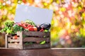 Variety of fresh organic vegetables and herbs in wooden crate. Blurred colorful autumn background. Empty blank for your text,
