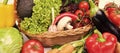 Variety of fresh ripe organic vegetables and leafy greens in basket close view Royalty Free Stock Photo